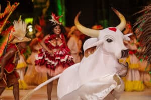 A Natura é a nova patrocinadora do Festival de Parintins, uma das manifestações culturais mais emblemáticas do país.