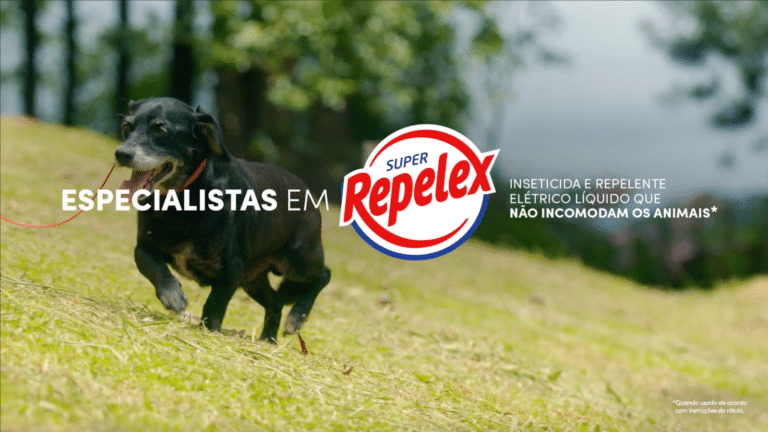 A Repelex comunica uma parceria inédita com a ONG Cão Sem Dono para incentivar a adoção de cães resgatados.