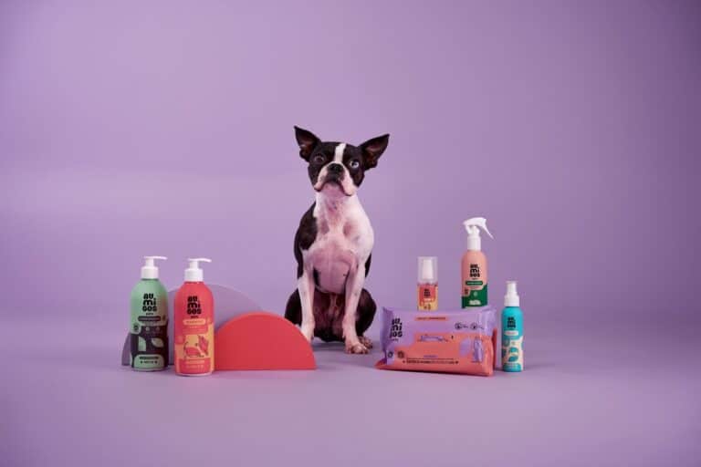 Au.Migos Pets cria campanha que visa conscientizar sobre os riscos que o calor extremo, a umidade e a poluição representam para pets.