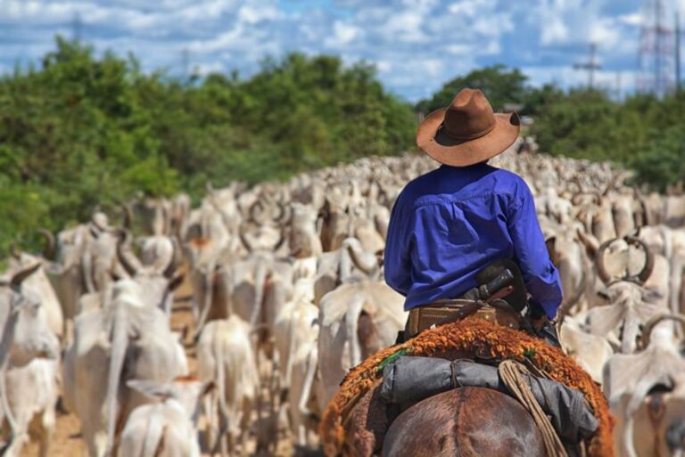 Zoetis estreia campanha que homenageia a confiança cultivada ao longo de mais de quatro décadas entre com gerações de produtores rurais.
