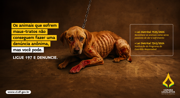 A CLDF amplia a conscientização sobre os direitos dos animais e busca combater altos índices de maus-tratos registrados nos últimos anos.