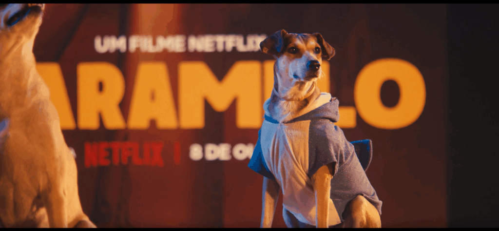 A Brisanet lança sua nova campanha institucional e promocional em parceria com a Netflix, que celebra a estreia do filme Caramelo.