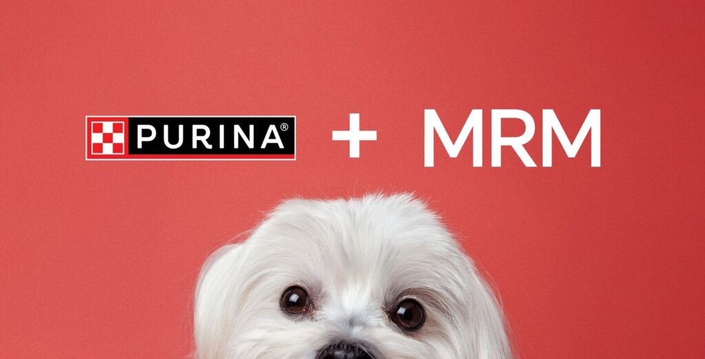A MRM Brasil foi escolhida pela Purina para liderar um projeto digital estratégico para a marca, que pertence à Nestlé.