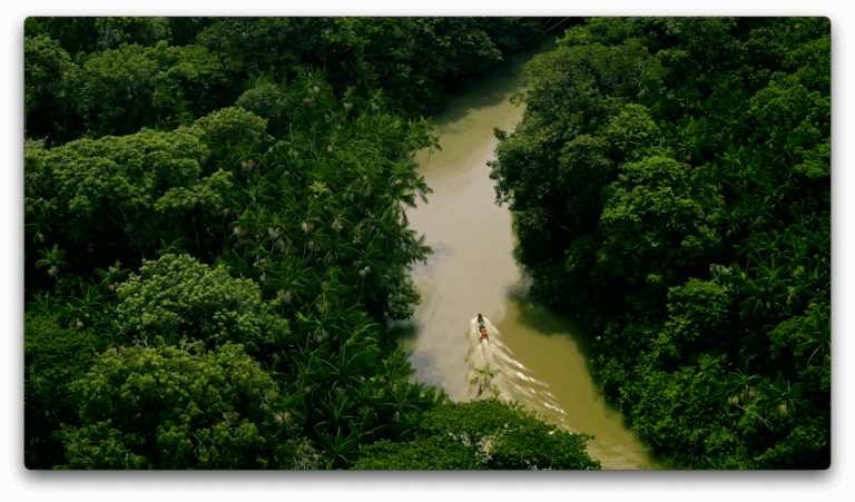 A Vale encerra 2025 com uma ação de fim de ano que resgata o "Tempo da Floresta", conceito institucional trabalhado neste ano.