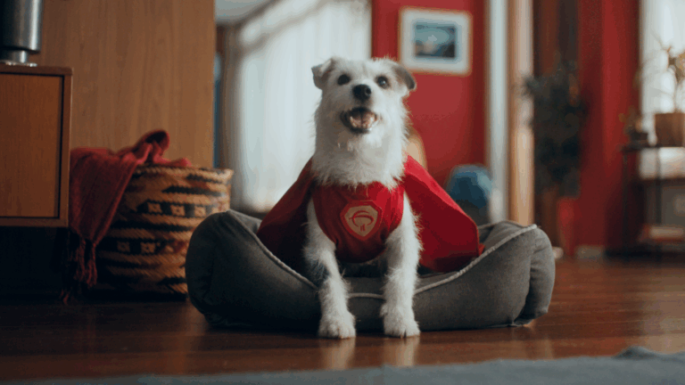 Com cachorro como estrela, Bradesco dá vida ao “Super Pix”