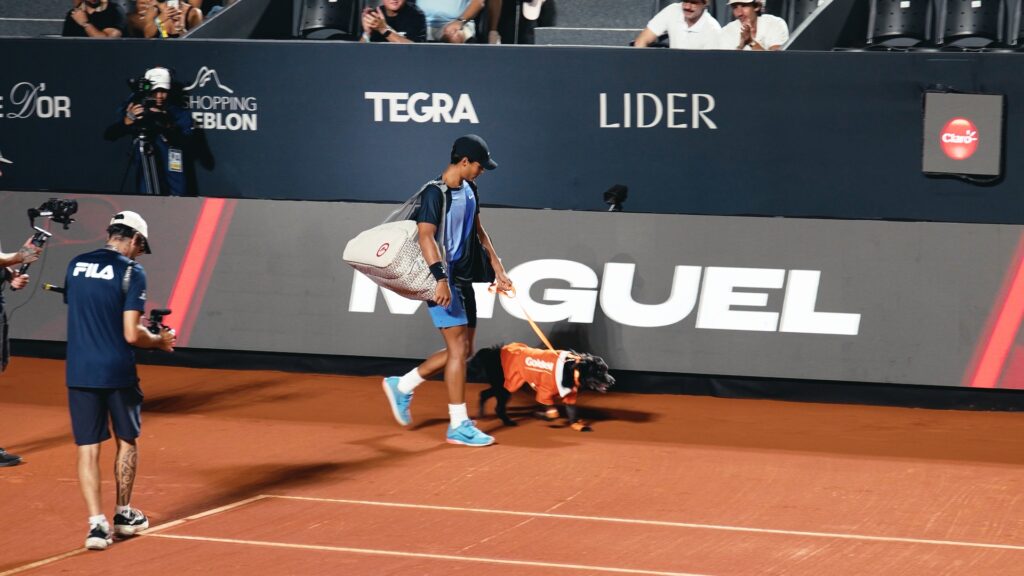 Cães resgatados entram em quadra no Rio Open para incentivar adoção responsável