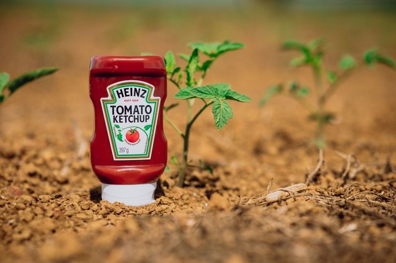 Kraft Heinz adota IA na produção de tomates e projeta avanço de produtividade na Safra 2026