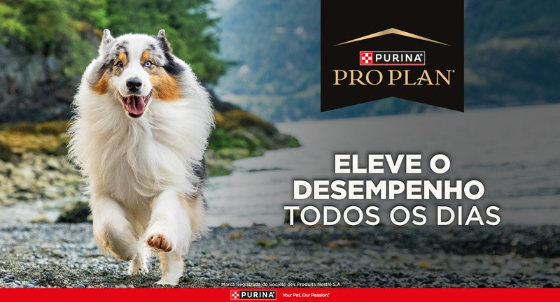 PURINA PRO PLAN reforça ciência e nutrição em nova campanha no Brasil