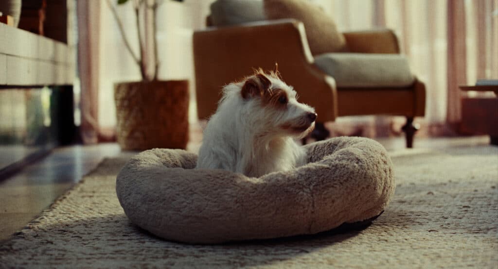 Após ocultar posts nas redes, Volvo revela campanha “Já Volto”