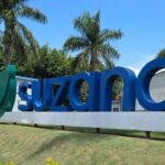 Por dentro da Suzano: o que existe por trás de um simples rolo de papel higiênico